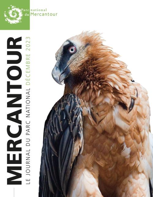 Mercantour - Journal du Parc national - Décembre 2023