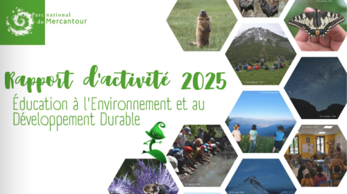 Rapport d'activité EEDD 2025