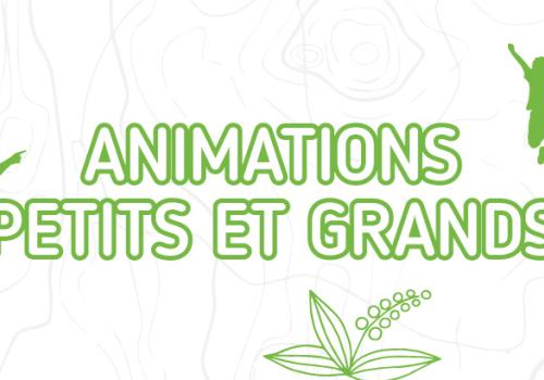 animations_petits_grands.jpg