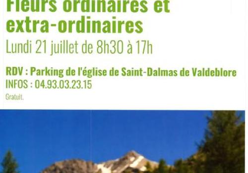 Fleurs ordinaires et extra-ordinaires_Valdeblore