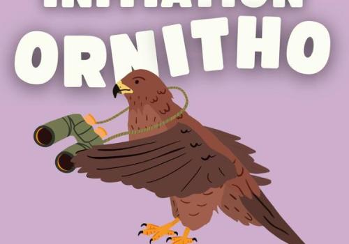Initiation à l'ornithologie._Isola