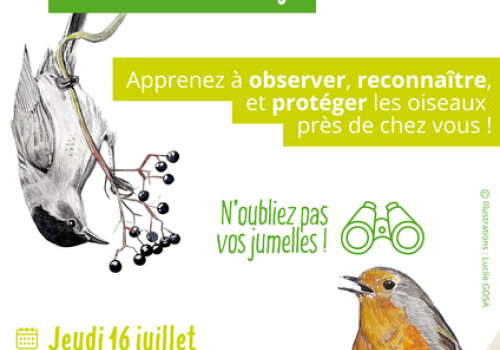 Atals de la biodiversité d'Isola - Initiation à l'ornithologie._Isola
