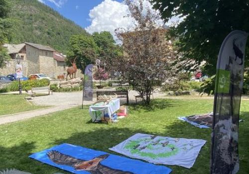 Atelier naturaliste du Parc national du Mercantour - Atelier naturaliste du Parc national du Mercantour