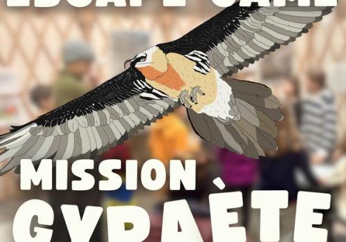 Escape Game gypaète._Saint-Étienne-de-Tinée