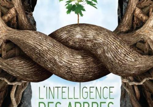 L'intelligence des arbres_Roure