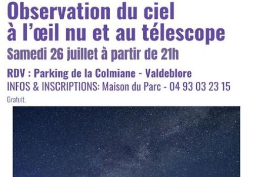 Animation nuit par le Parc national du Mercantour_Valdeblore