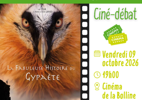 Journée Internationale du GYPAÈTE BARBU avec le Parc National du Mercantour_Valdeblore