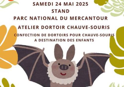 Stand du Parc national du Mercantour et Atelier dortoirs pour chauve-souris_Saint-Martin-Vésubie