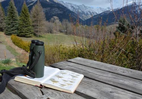 A la découverte du monde des oiseaux_Saint-Martin-Vésubie