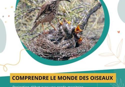 À la découverte du monde des oiseaux_Saint-Martin-Vésubie