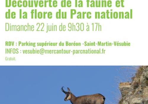 Découverte de la faune et de la flore du Parc national_Saint-Martin-Vésubie