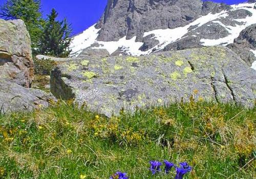 Le  Mercantour 70 ans de protection de la nature raconté par le plus ancien un garde moniteur en service_Saint-Martin-Vésubie