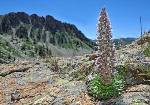 Rencontre avec un garde du Parc national_Belvédère