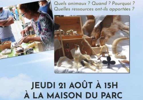 Atelier animé : pastoralisme et domestication_Tende