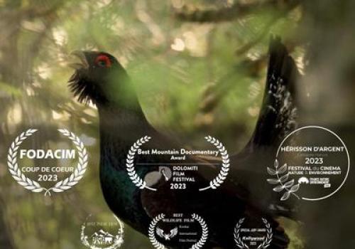 Le Pari : les oiseaux de montagne comme vous ne les avez jamais vus_Tende