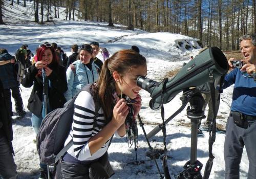 Le Mercantour en hiver : à la découverte d’une nature fragile_Tende