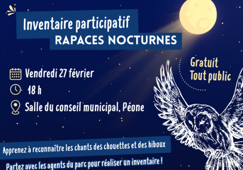 Inventaire participatif " Rapaces nocturnes"_Péone - Inventaire participatif " Rapaces nocturnes"