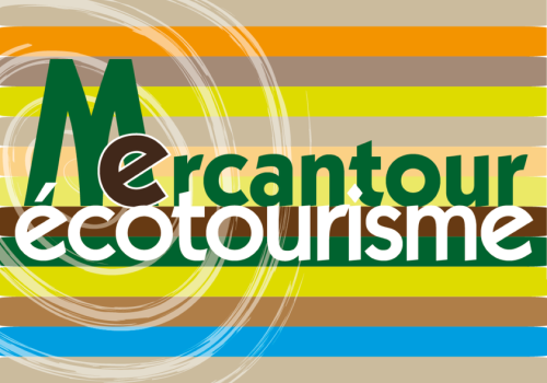 LOGO AME