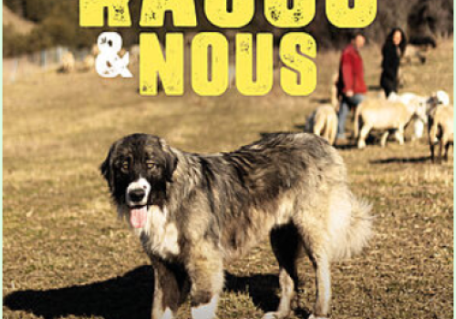 Rasco et nous - Au voisinage des chiens de protection des troupeau_Entraunes