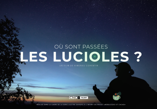 Où sont passées les lucioles_Péone