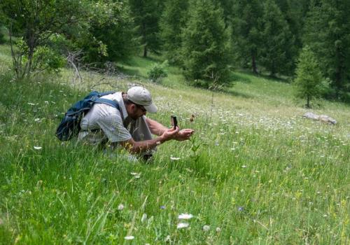 Inventaire de la biodiversité_Valberg