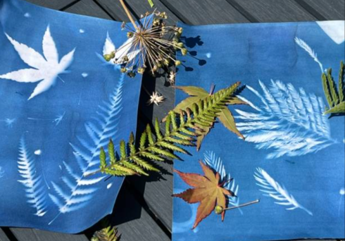 Atelier Cyanotypes_Tende - Atelier Cyanotypes