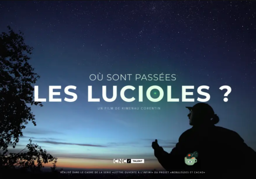 Soirée ciné nature "Où sont passées les lucioles ?"_Moulinet - Soirée ciné nature "Où sont passées les lucioles ?"