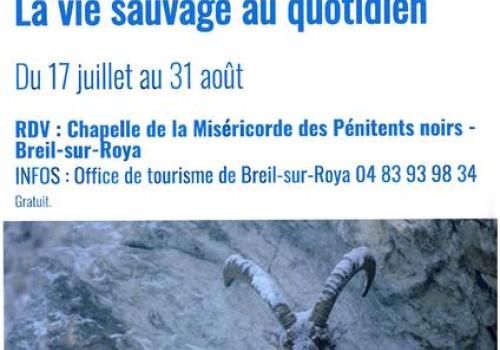 Exposition "La vie sauvage au quotidien"_Breil-sur-Roya - Exposition "La vie sauvage au quotidien"_Breil-sur-Roya