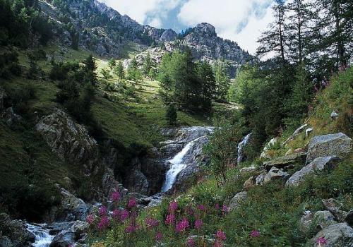 Découverte du Haut-Boréon_Saint-Martin-Vésubie - Vallon du Boréon