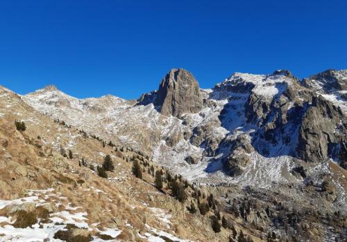Le Parc national du Mercantour et ses richesses_Saint-Martin-Vésubie - La Cougourde