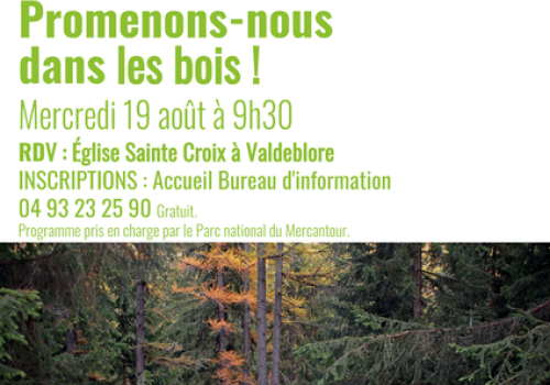 Promenons-nous dans les bois !_Valdeblore
