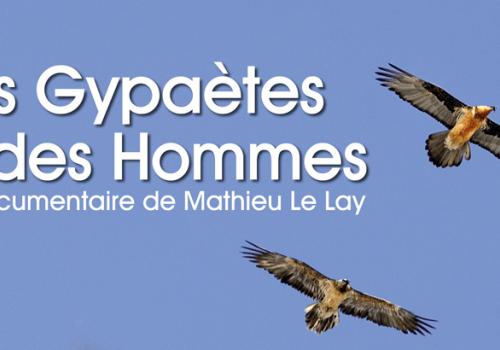 film-des-gypaetes-et-des-hommes-820px.jpg