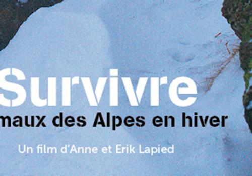 film-survivre-animaux-des-alpes-en-hiver-820px.jpg