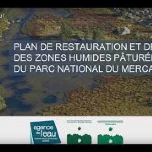 Plan de restauration et de suivi des zones humides des alpages du Parc national du Mercantour