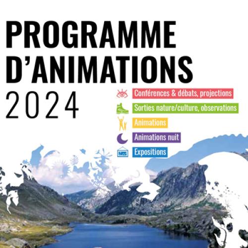 Programmes d'animations estivales 2024