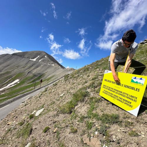 Le Tour de France 2024 s'engage pour la préservation lors de son passage dans le Parc national du Mercantour © E. Gastaud / PnM