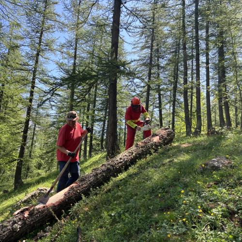 Une formation sentier pour 15 agents du Parc © J. Chaudet / PnM