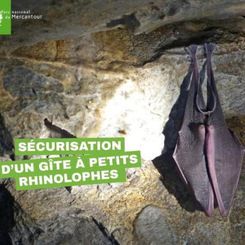 Sécurisation d'un gîte à petits rhinolophes © A.Turpaud / PnM, L.Malthieux / PnM