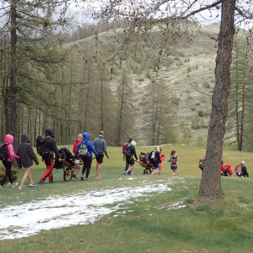 Randonneurs et randonneuses progressant dans une clairière