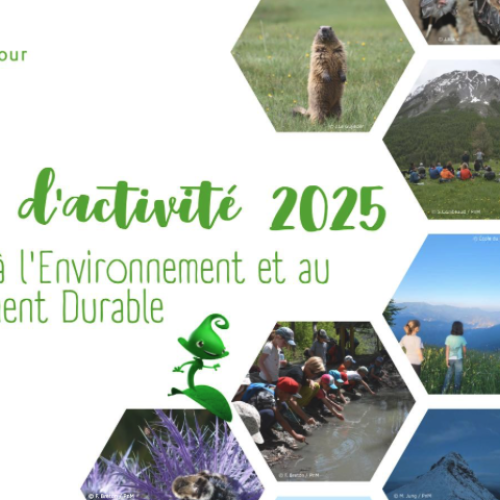 Rapport d'activité EEDD 2025