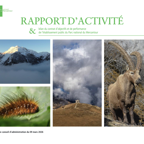 Rapport d'activité 2025