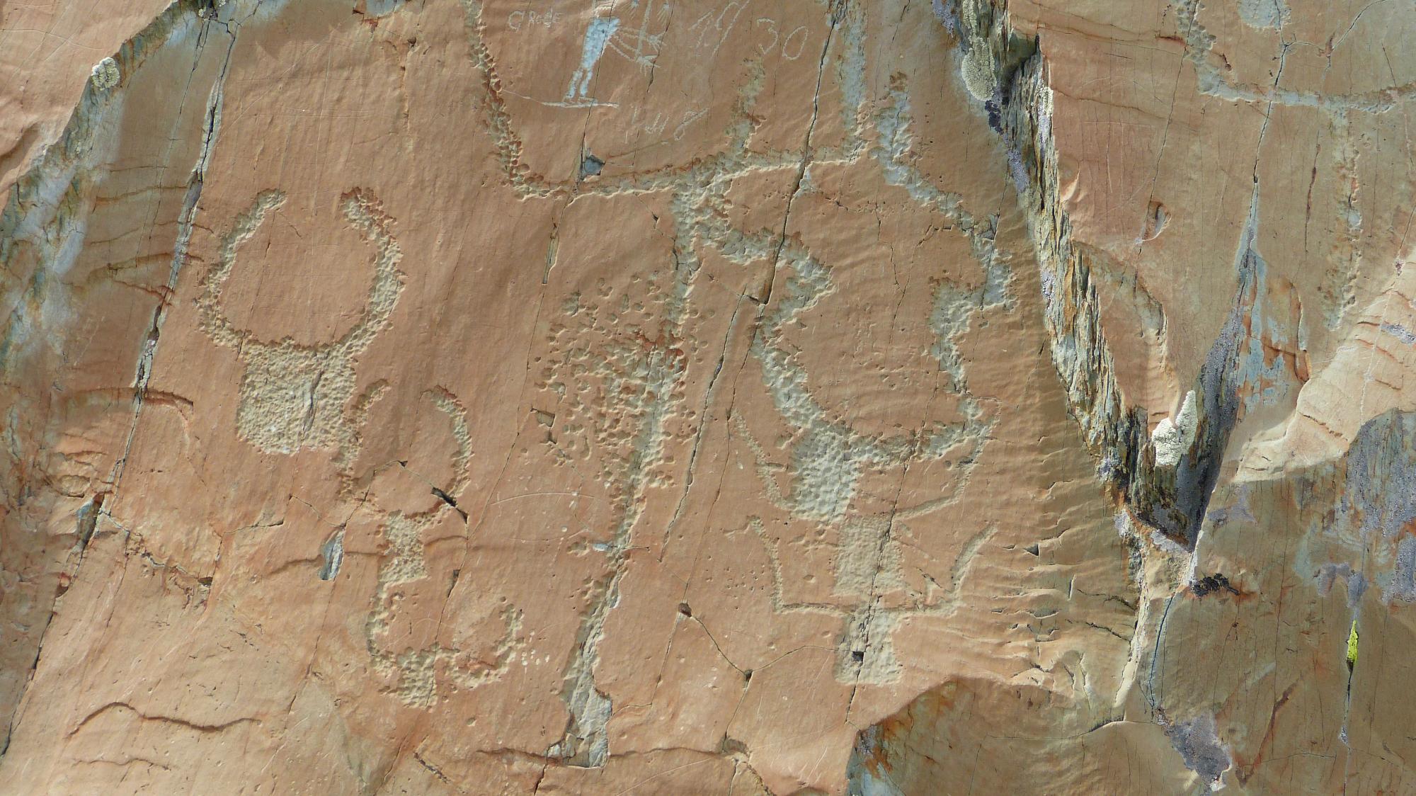 Gravures rupestres corniformes aux Merveilles © L. Malthieux / PnM