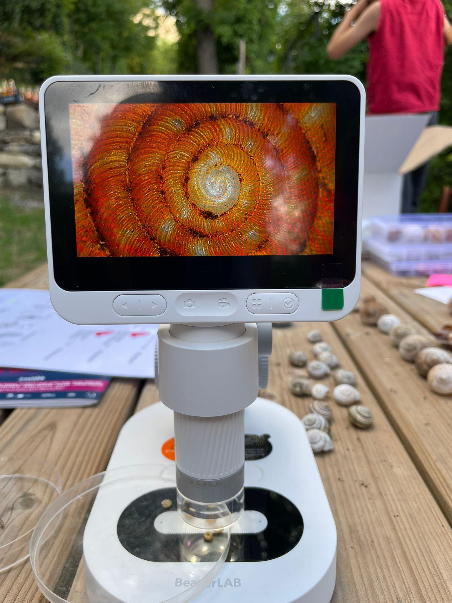 Animation autour des escargots © M. Aferiat / PnM