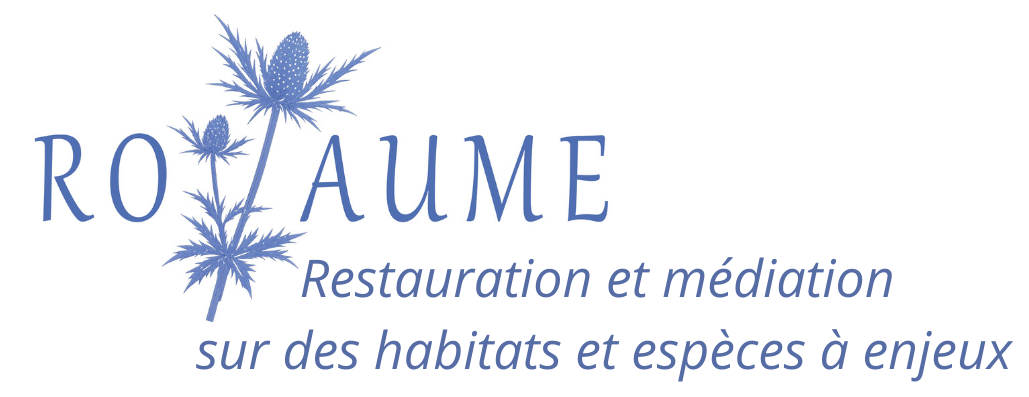Logo projet ROYAUME
