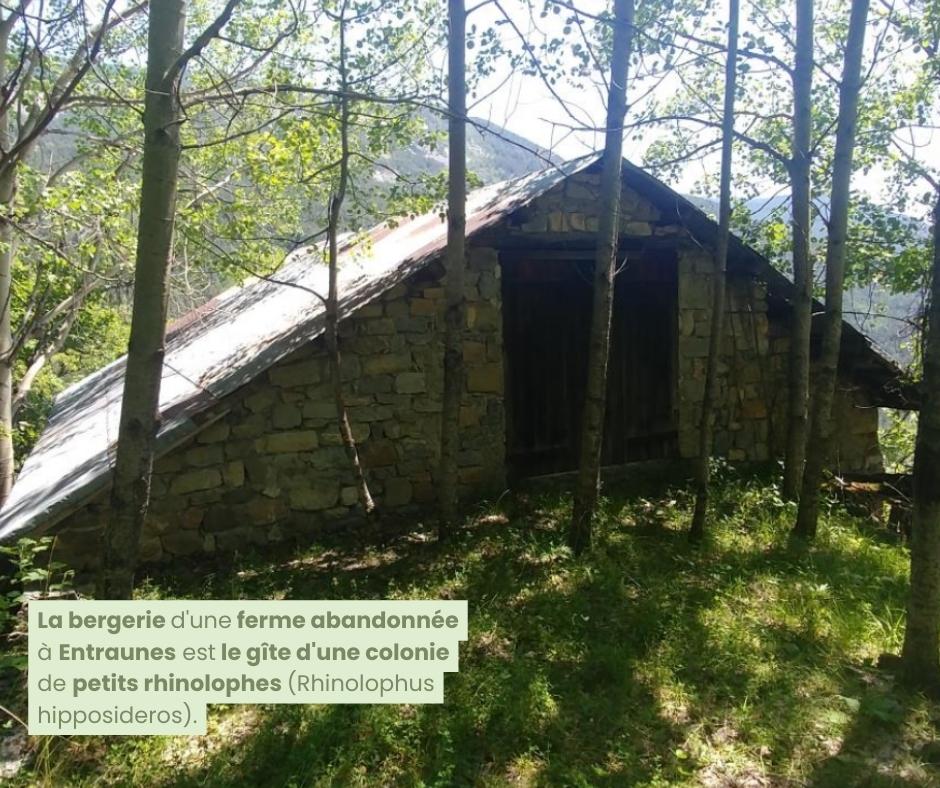 Sécurisation d'un gîte à petits rhinolophes © A.Turpaud / PnM, L.Malthieux / PnM