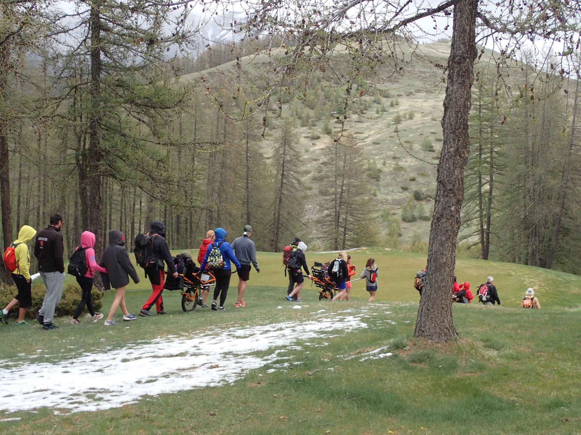 Randonneurs et randonneuses progressant dans une clairière