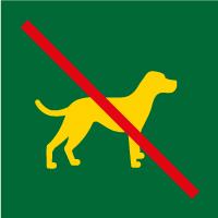Pictogramme : chien interdit