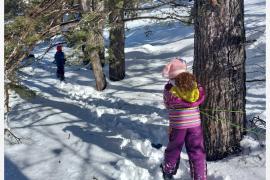 Plongée dans le grand blanc © Fabrice Caillol / PnM, Laurent Zimmermann / PnM