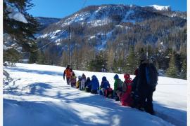 Plongée dans le grand blanc © Fabrice Caillol / PnM, Laurent Zimmermann / PnM