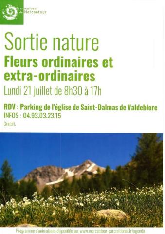 Fleurs ordinaires et extra-ordinaires_Valdeblore